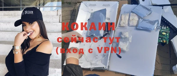 гидра Бронницы