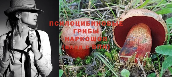 ешки Бугульма