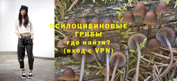 ешки Бугульма