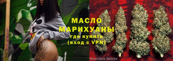 гидра Бронницы