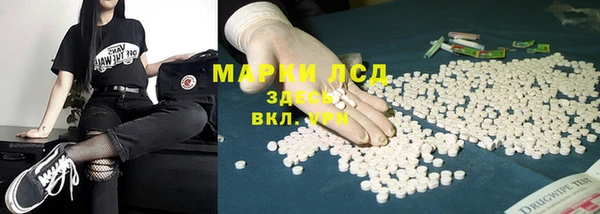 гидра Бронницы